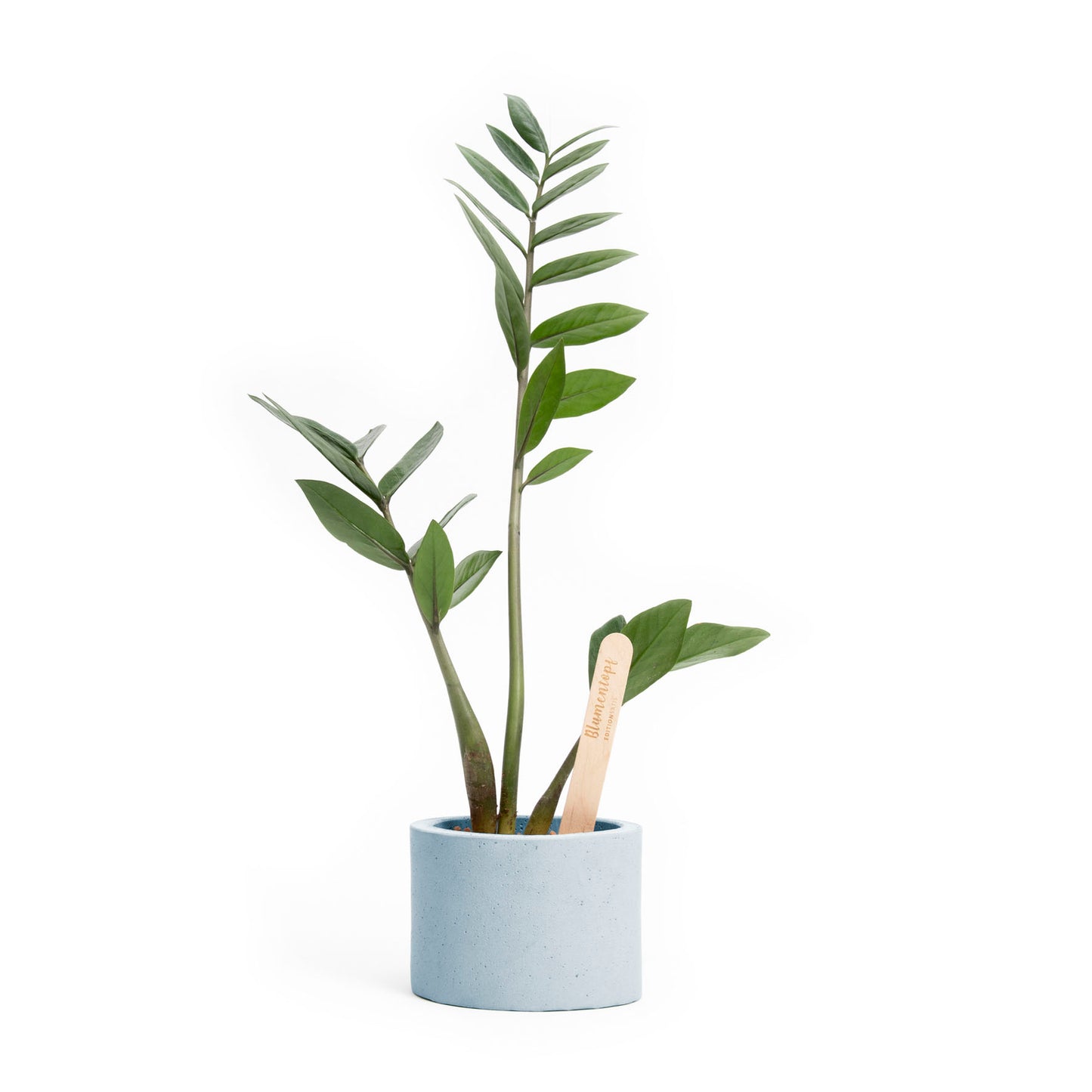 Blumentopf Betonguss