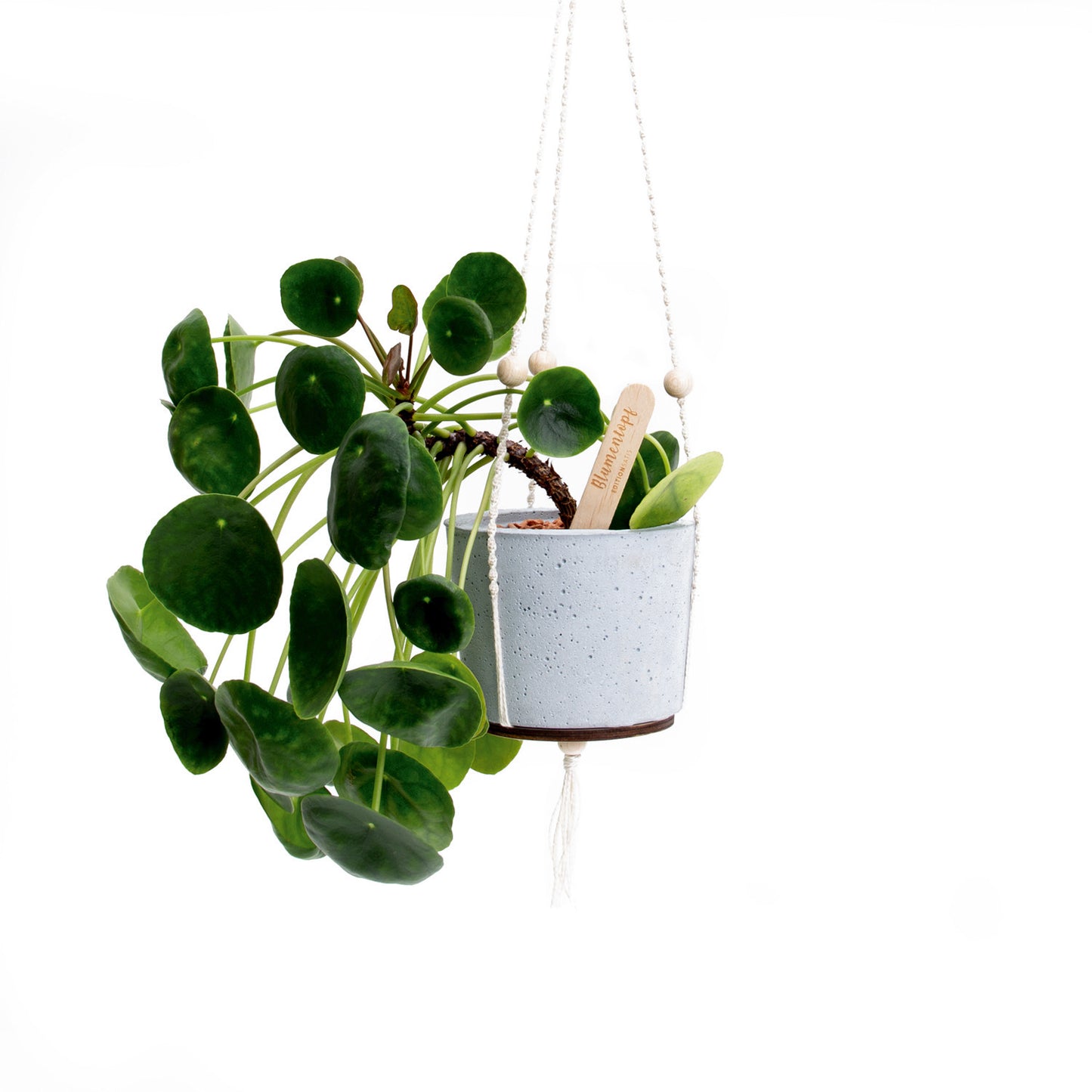 Aufhängung Blumentopf handgeknüpft
