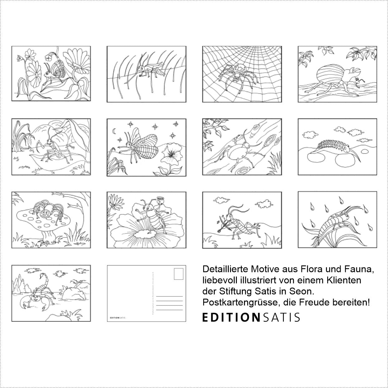 Insekten‑Malbuch 2
