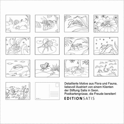 Insekten‑Malbuch 1